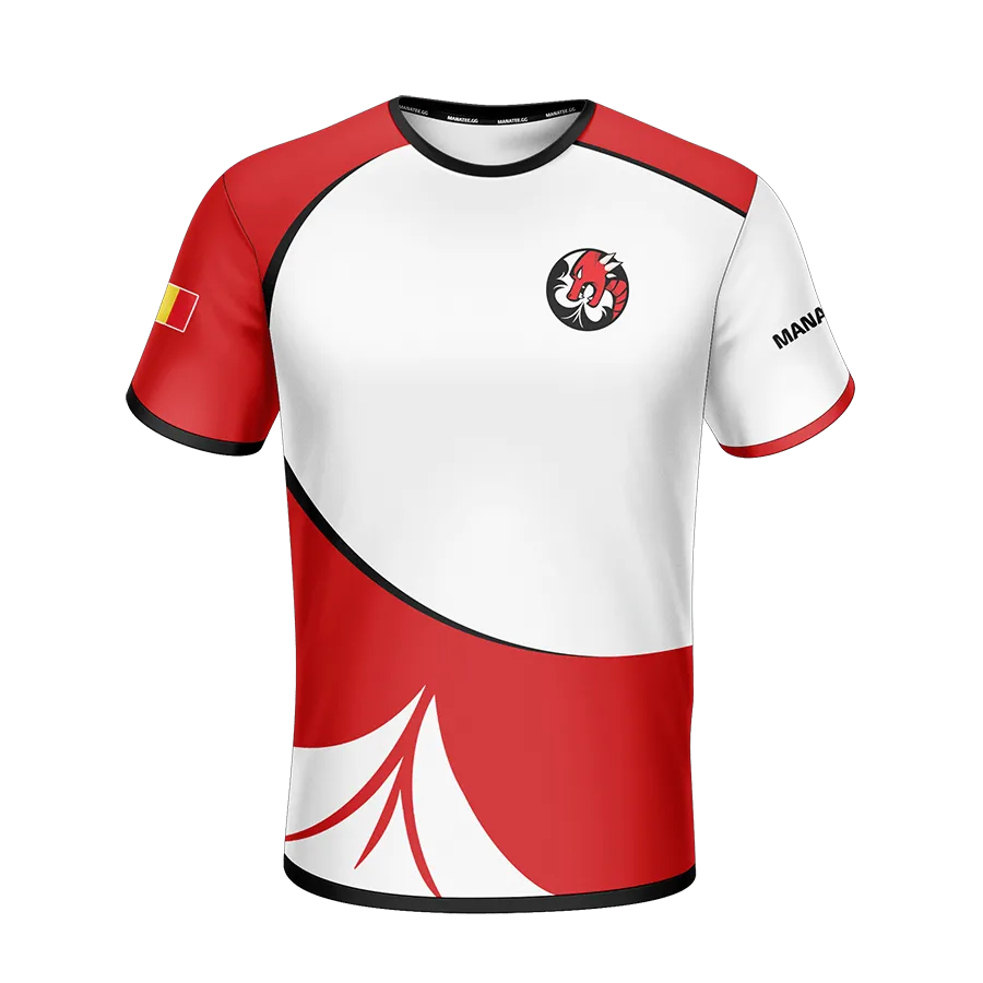 DRGN Gaming Jersey