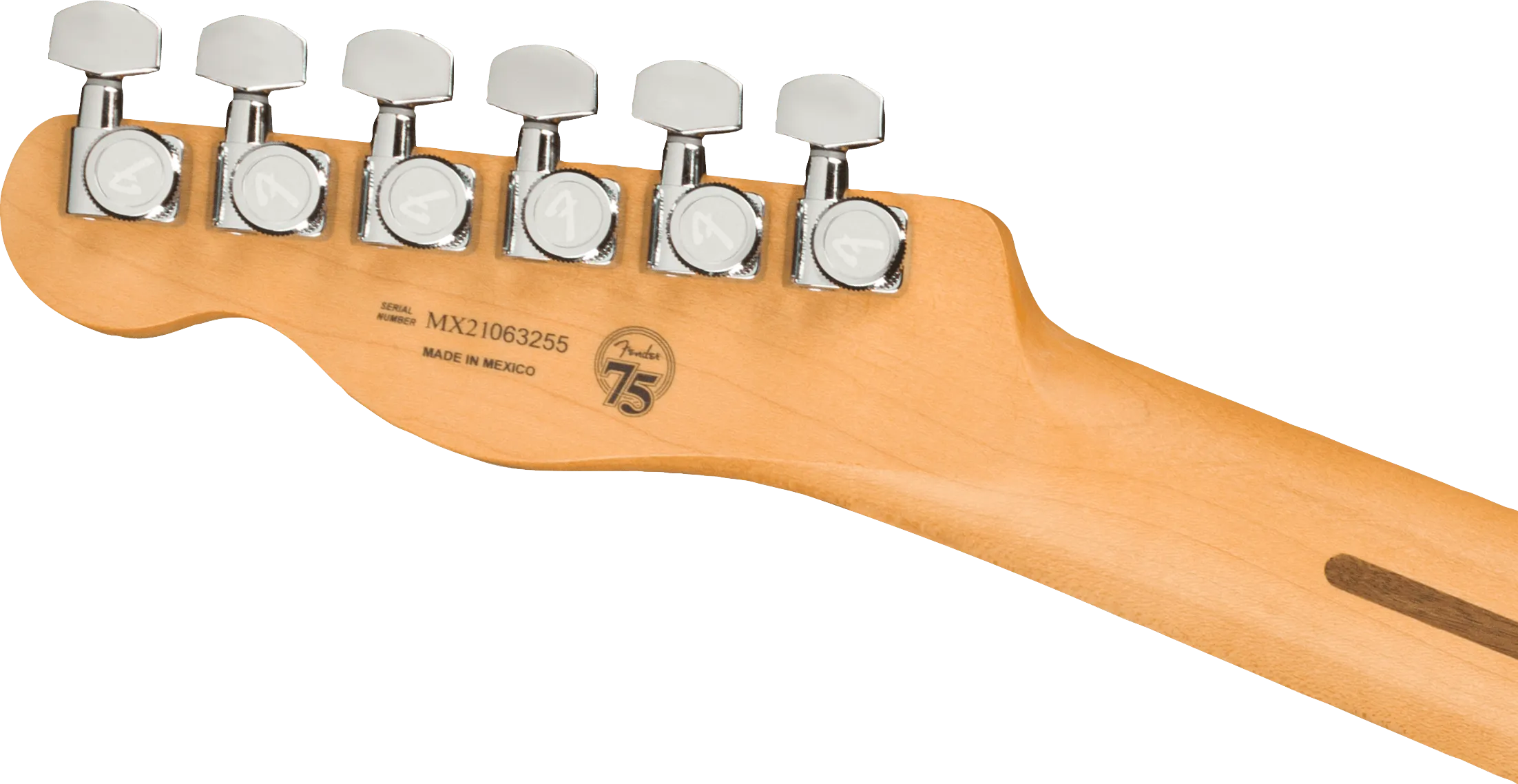 Fender Player Plus Nashville Telecaster - Opal Spark