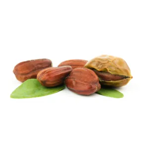 Jojoba Oil