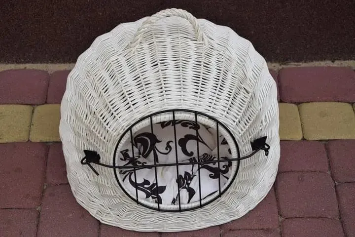 Large wicker white carrier with cushion