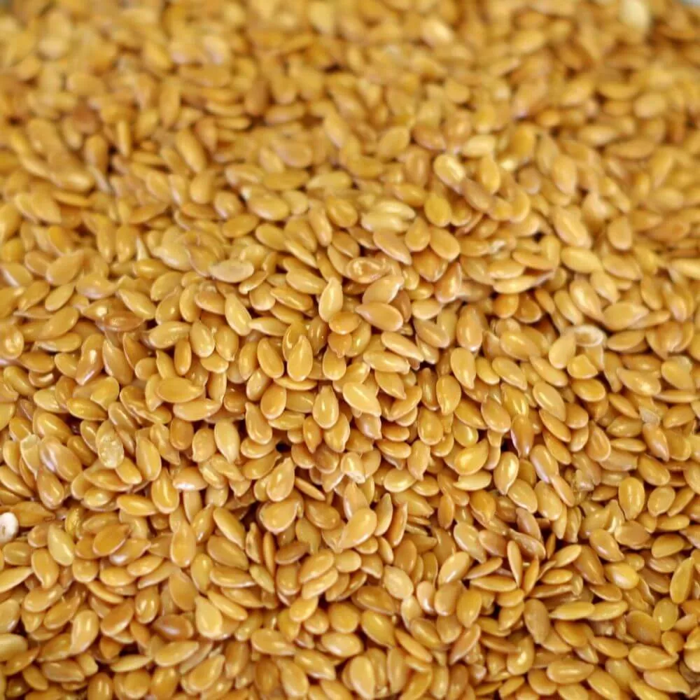 Rainy Day Foods Golden Flax Natural 25 lbs Bag - 1134 Servings